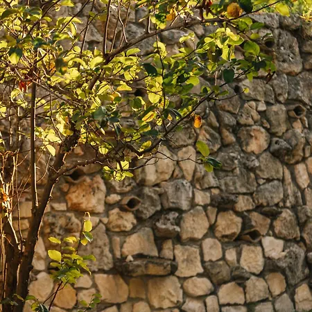 Ilyessa Country house Meson Yerakarion